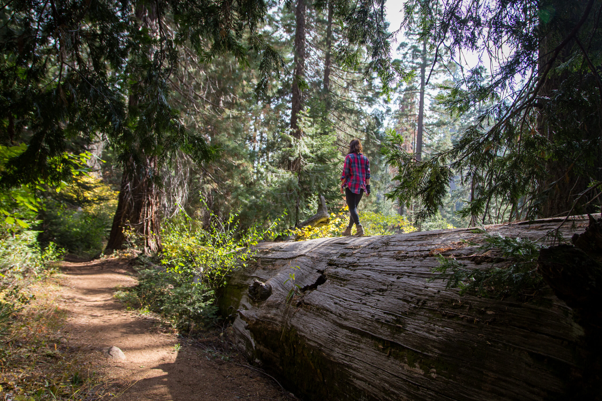 Mein Jahresrückblick 2025