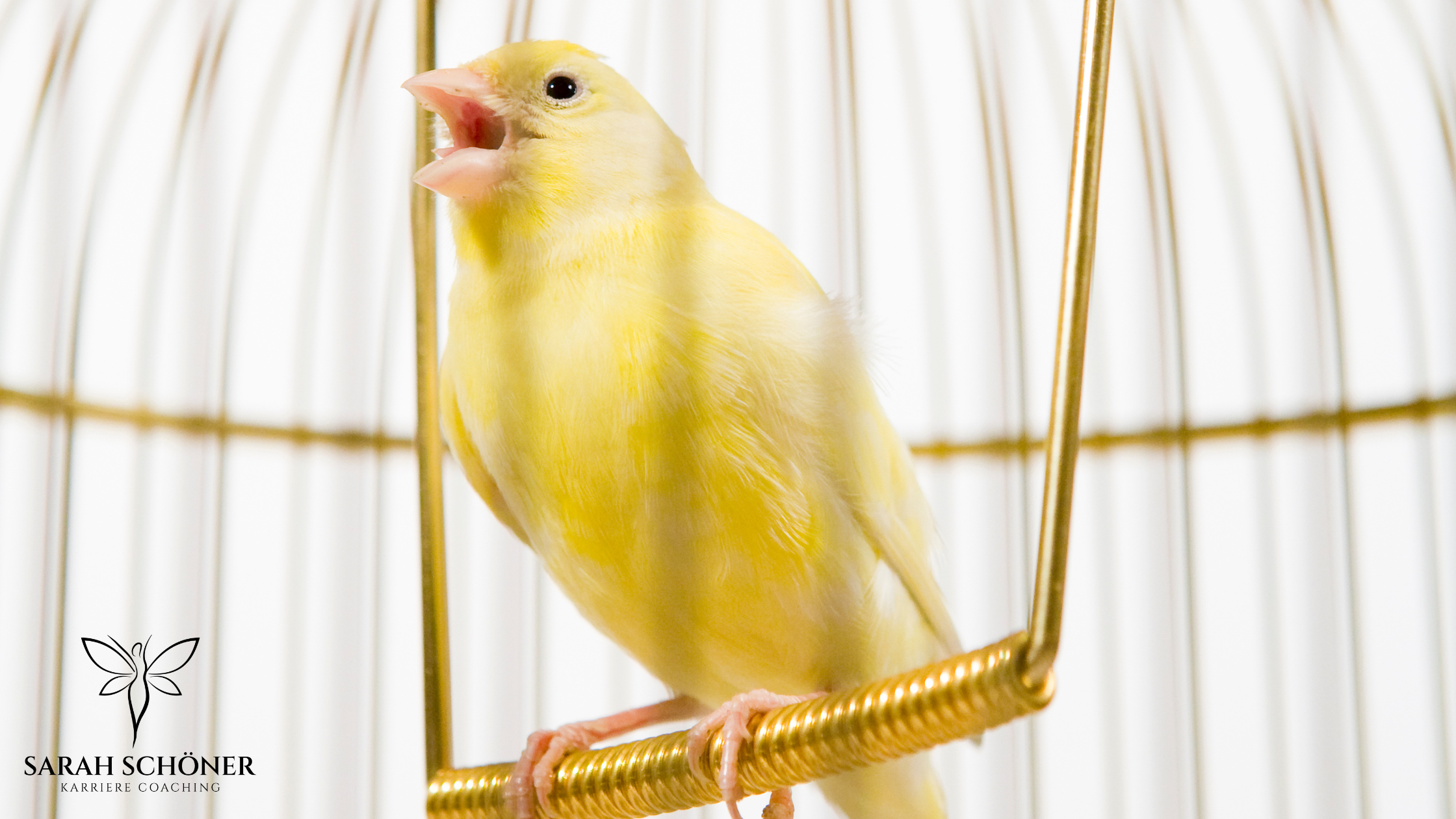 Warum sich der sichere Job manchmal wie ein goldener Käfig anfühlt